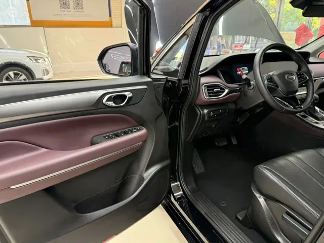 GAC Trumpchi Trumpchi M6 2021 PRO 270T DCT Luxury Edition — Фото автомобиля 8
