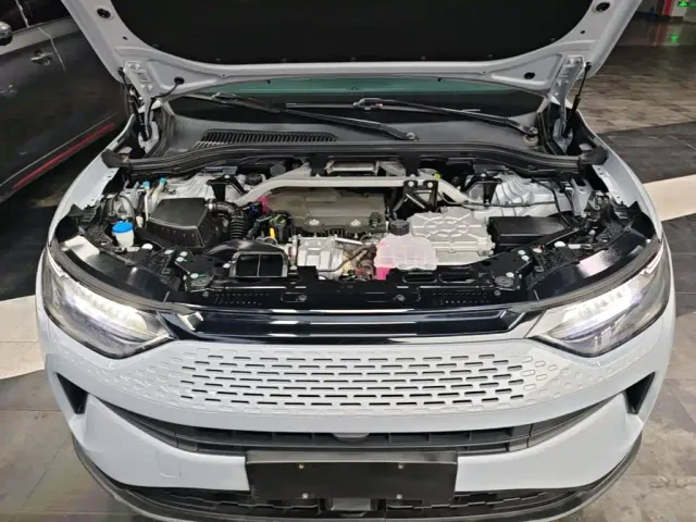 Leapmotor C11 — Фото автомобиля 19