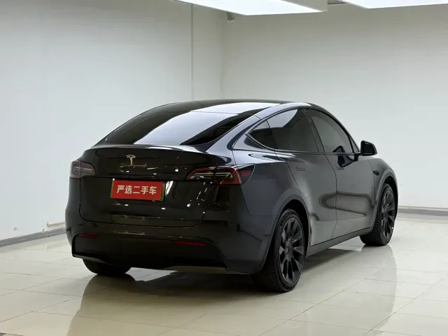 Tesla Model Y — Фото автомобиля 14