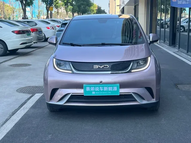 BYD Dolphin — Фото автомобиля 2