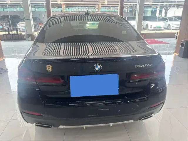 BMW 5 Series — Фото автомобиля 15