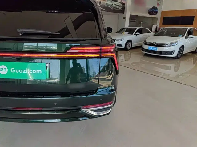 Wey Lanshan — Фото автомобиля 7