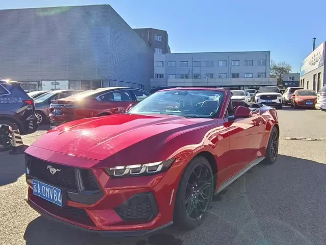 Ford Mustang — Фото автомобиля 18