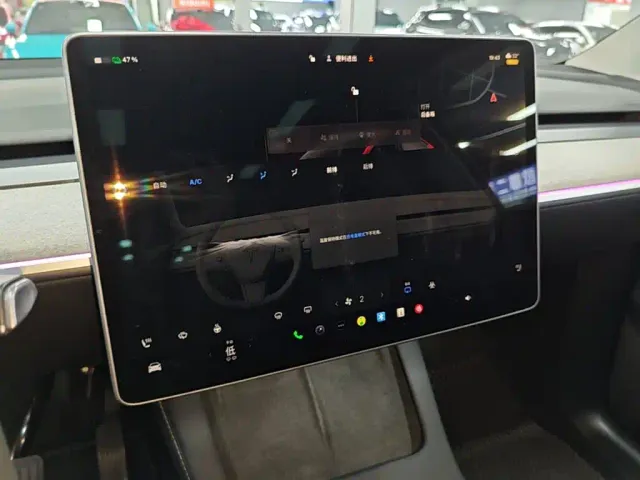 Tesla Model Y — Фото автомобиля 12
