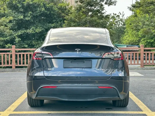 Tesla Model Y — Фото автомобиля 6