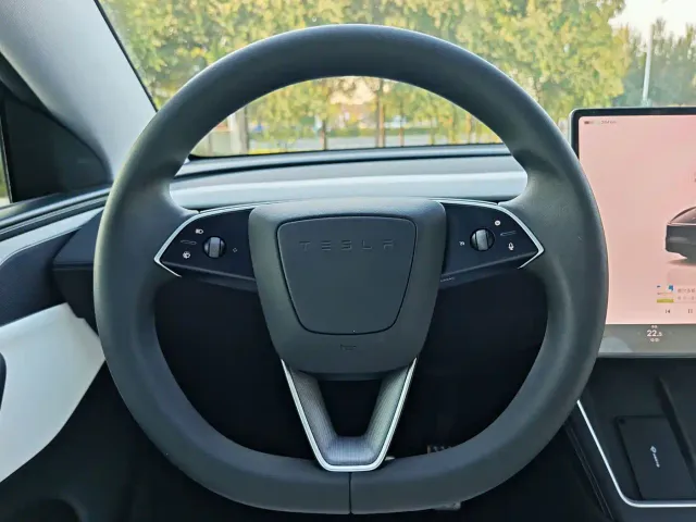 Tesla Model Y 2025 Model Long Range All-Wheel Drive Launch Edition — Фото автомобиля 17