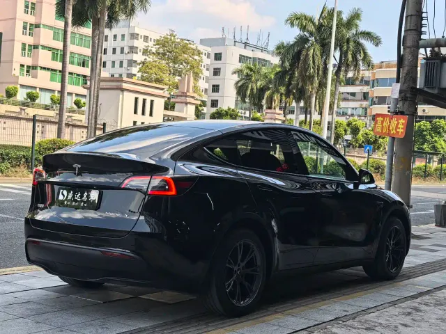 Tesla Model Y — Фото автомобиля 4