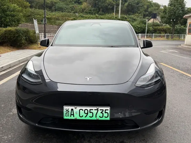 Tesla Model Y — Фото автомобиля 2