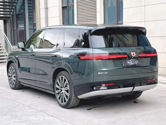 Denza N9 — Фото автомобиля 14