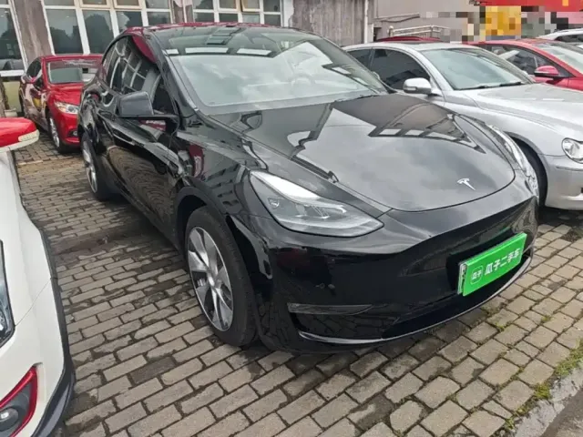 Tesla Model Y — Фото автомобиля 21