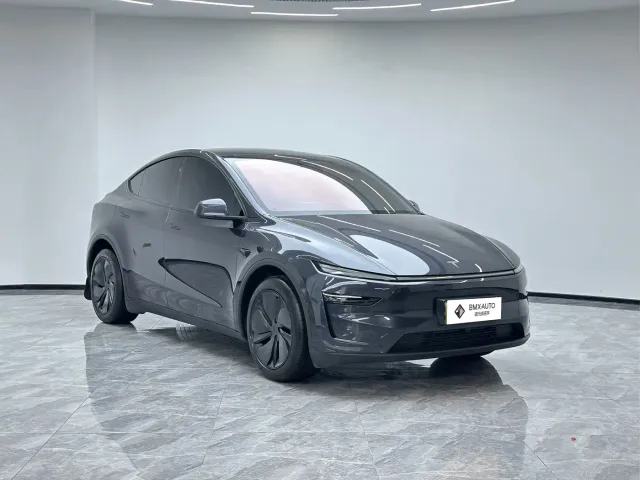 Tesla Model Y — Фото автомобиля 2