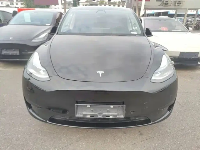 Tesla Model Y — Фото автомобиля 2