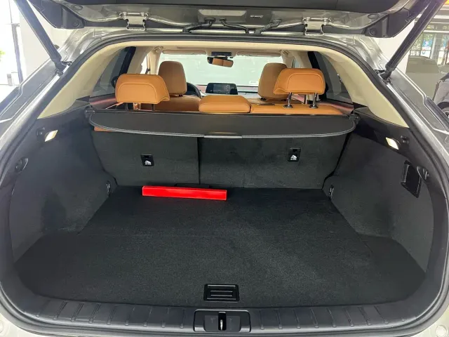 Lexus RX — Фото автомобиля 28