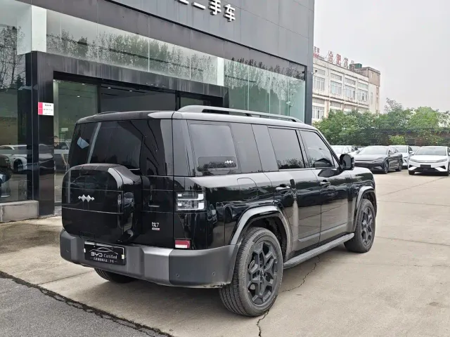BYD FangChengBao Titanium 7 — Фото автомобиля 4