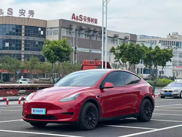 Tesla Model Y — Фото автомобиля 2