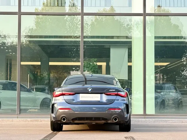BMW 4 Series — Фото автомобиля 21