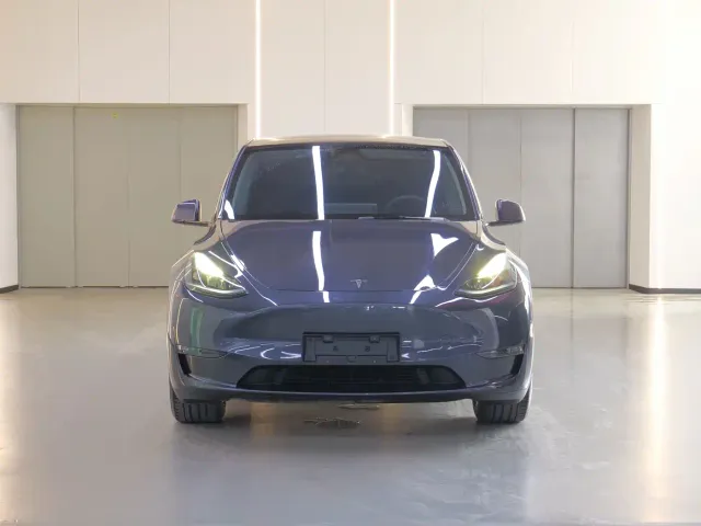 Tesla Model Y — Фото автомобиля 2