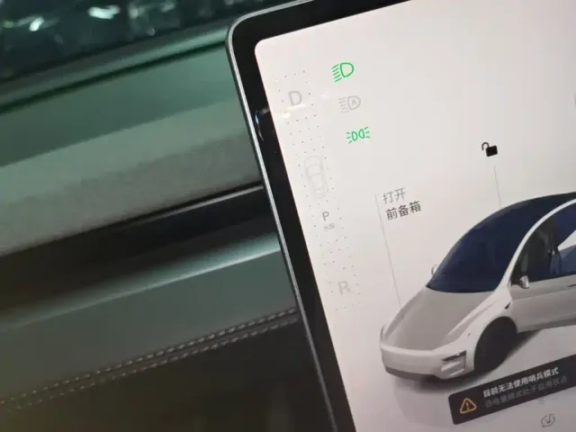 Tesla Model Y — Фото автомобиля 13