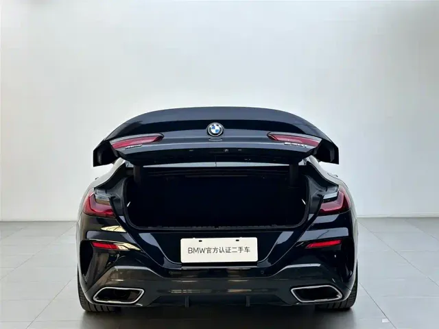 BMW 8 Series — Фото автомобиля 6