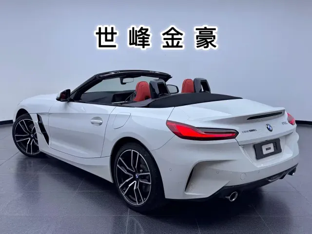 BMW Z4 — Фото автомобиля 25