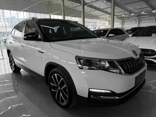 Skoda Kamiq — Фото автомобиля 3