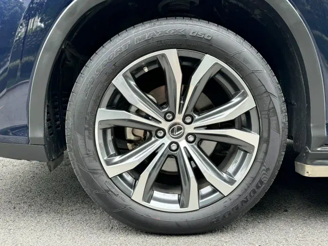 Lexus RX — Фото автомобиля 15