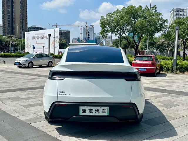 Tesla Model Y — Фото автомобиля 4
