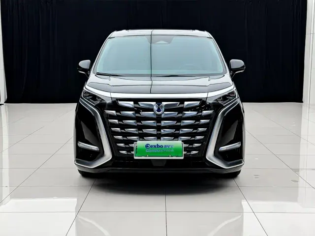 Denza D9 — Фото автомобиля 2