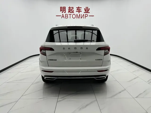 Skoda Karoq — Фото автомобиля 10