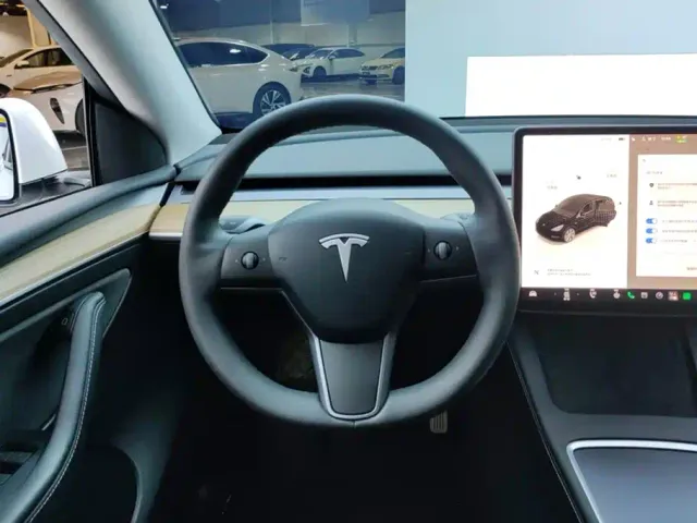 Tesla Model Y — Фото автомобиля 15