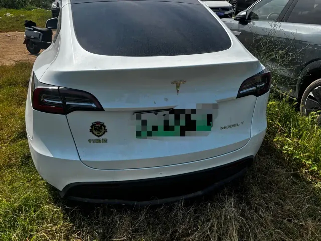 Tesla Model Y — Фото автомобиля 5