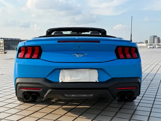 Ford Mustang — Фото автомобиля 6