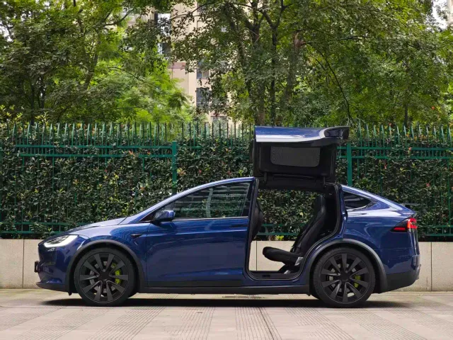 Tesla Model X — Фото автомобиля 14