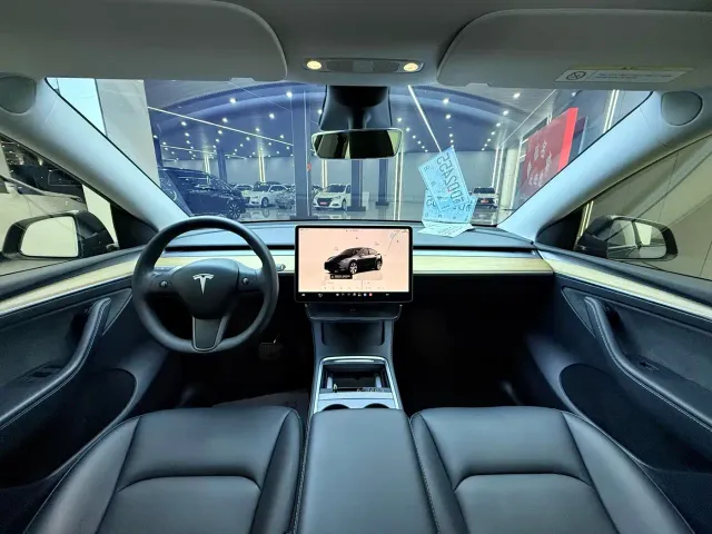 Tesla Model Y — Фото автомобиля 12