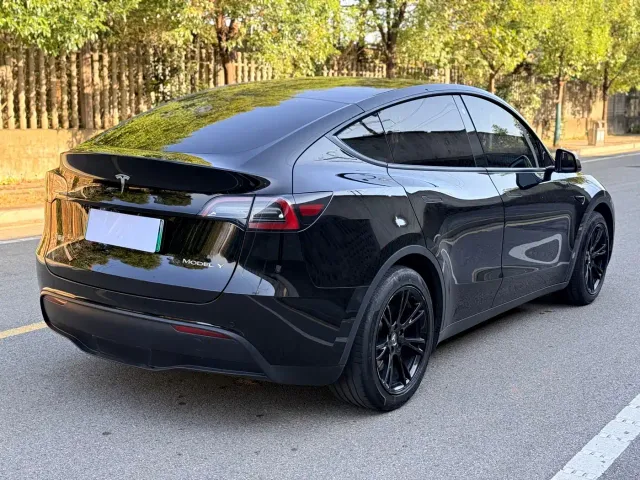 Tesla Model Y — Фото автомобиля 4