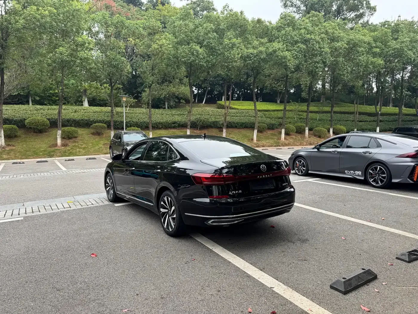 Volkswagen Passat 2022 330TSI Starlight Luxury Edition — Фото автомобиля 8