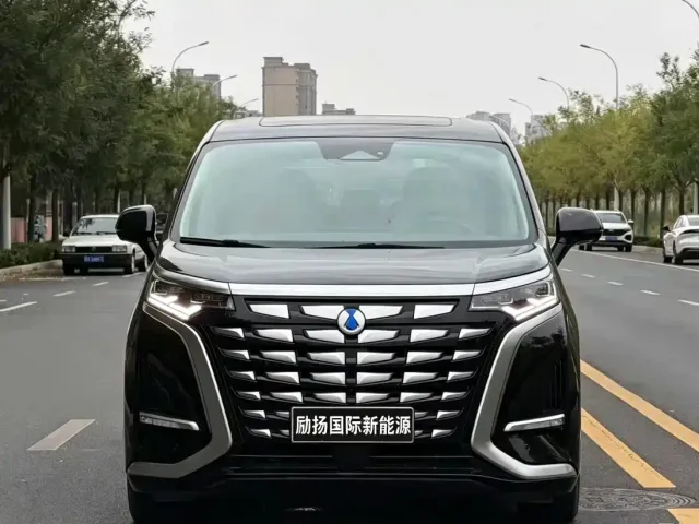 Denza D9 — Фото автомобиля 2