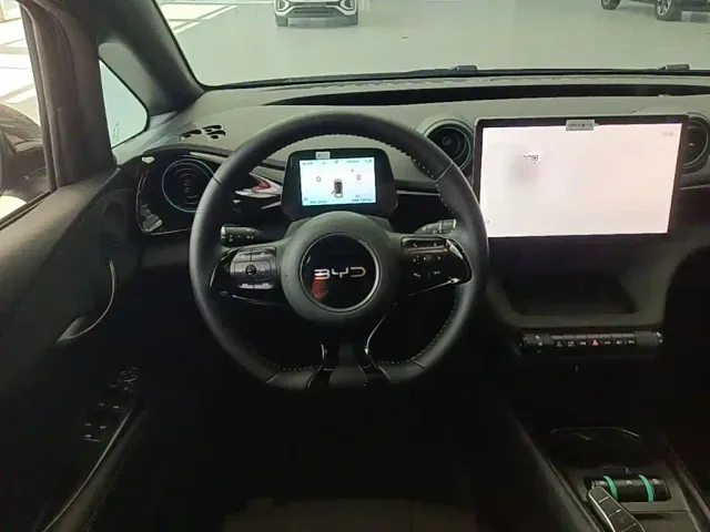 BYD Dolphin — Фото автомобиля 14