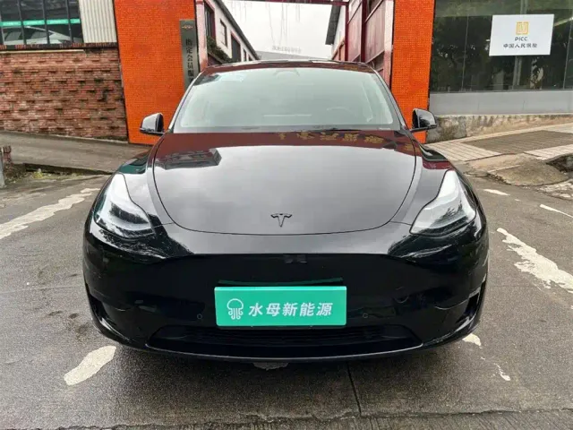 Tesla Model Y — Фото автомобиля 2