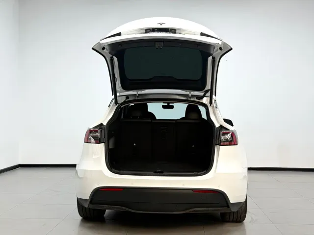 Tesla Model Y — Фото автомобиля 17