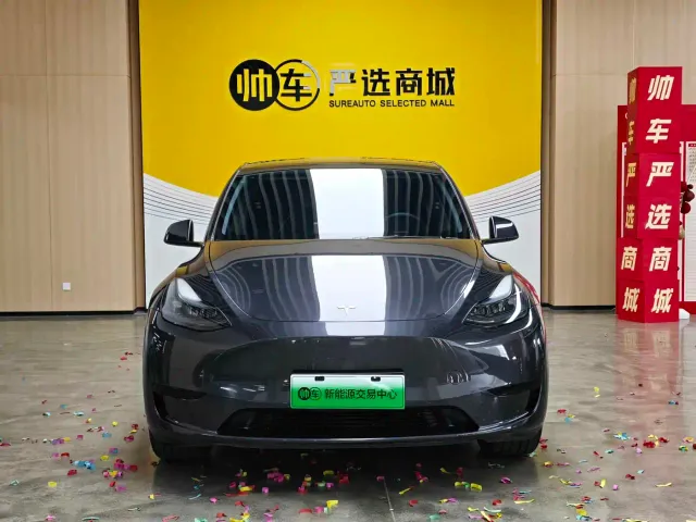 Tesla Model Y — Фото автомобиля 2
