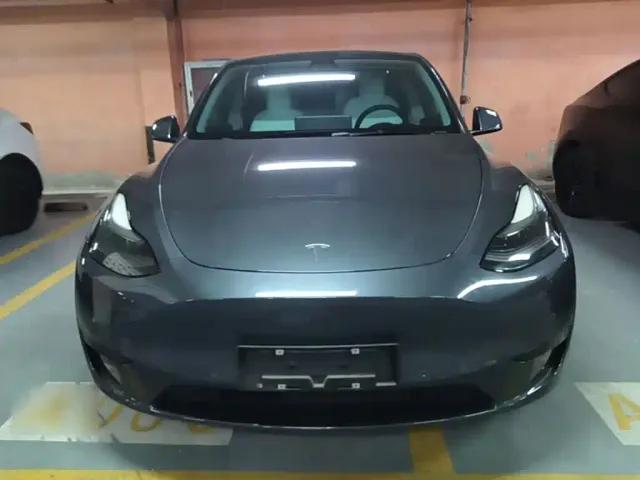Tesla Model Y — Фото автомобиля 2