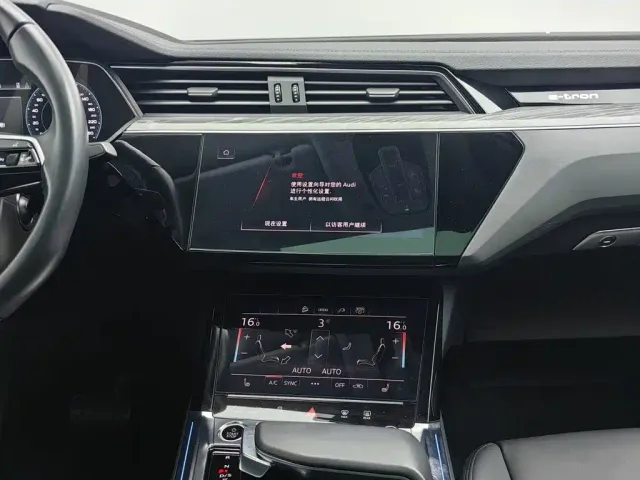 Audi e-tron — Фото автомобиля 12