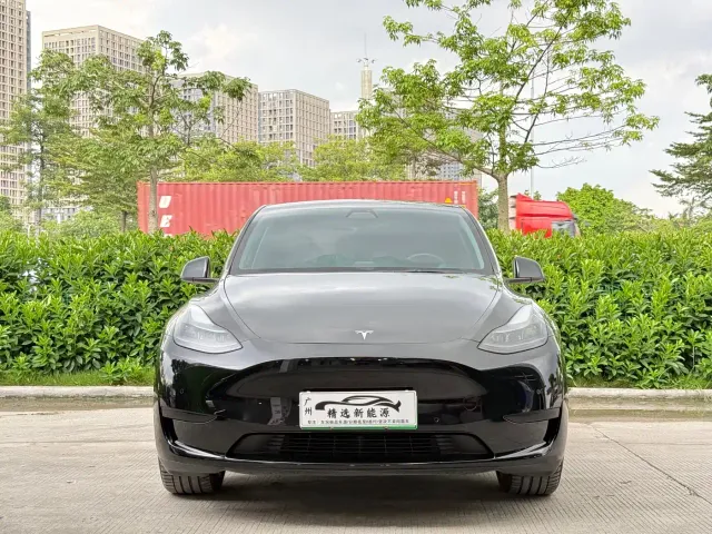 Tesla Model Y — Фото автомобиля 2