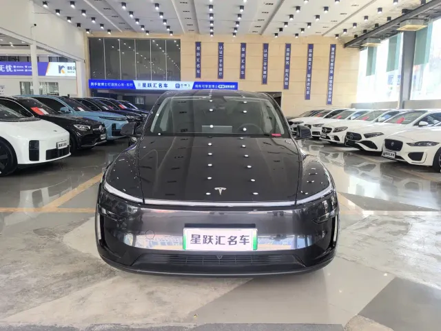 Tesla Model Y — Фото автомобиля 2