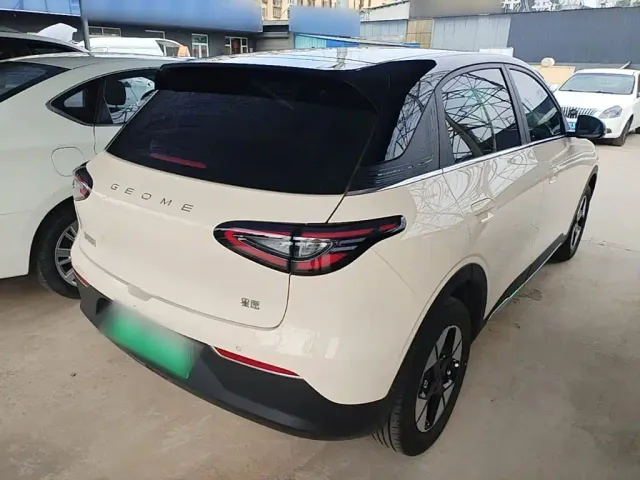 Geely Starry Wish — Фото автомобиля 6