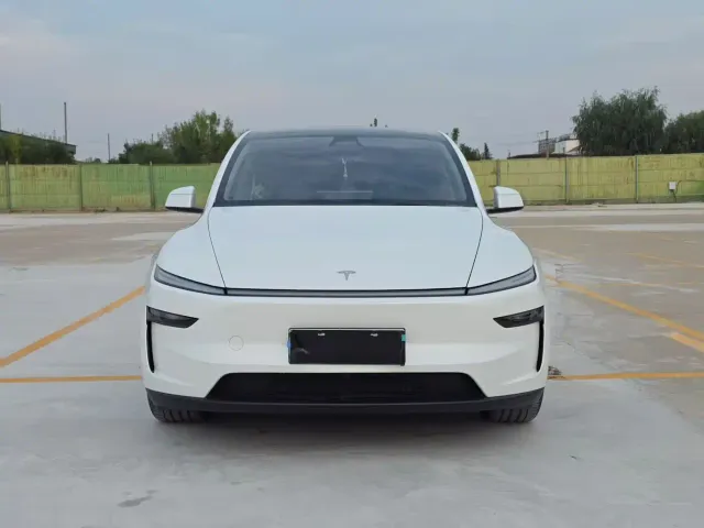 Tesla Model Y — Фото автомобиля 2