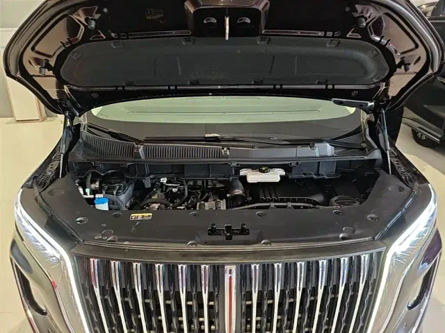 Hongqi HQ9 PHEV — Фото автомобиля 19