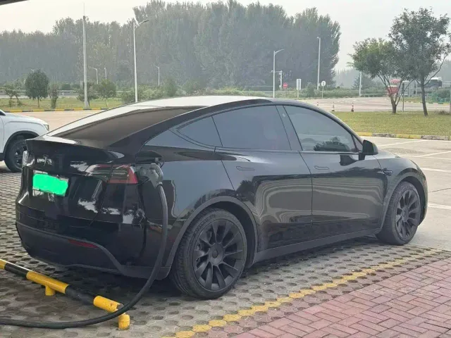 Tesla Model Y — Фото автомобиля 7