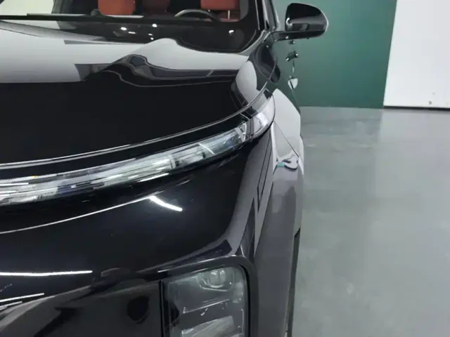 Li Auto L9 — Фото автомобиля 5